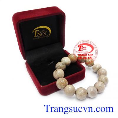 Gỗ hóa thạch có nhiều tác dụng trong việc hỗ trợ và điều trị bệnh