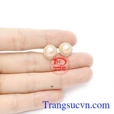 Sản phẩm bảo hành uy tín, giao hàng toàn quốc