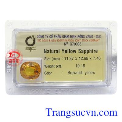 Viên Sapphire vàng 10 ct là viên đá tượng trưng cho giàu sang, thịnh vượng, tình yêu và lòng chung thủy