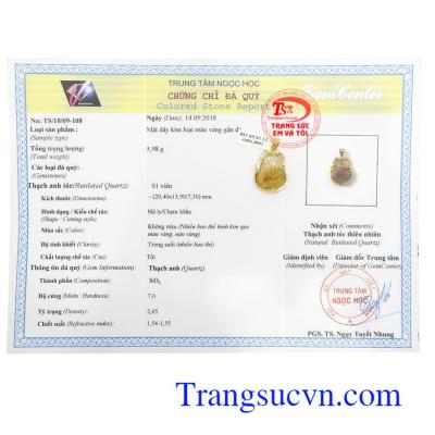 Giấy kiểm định