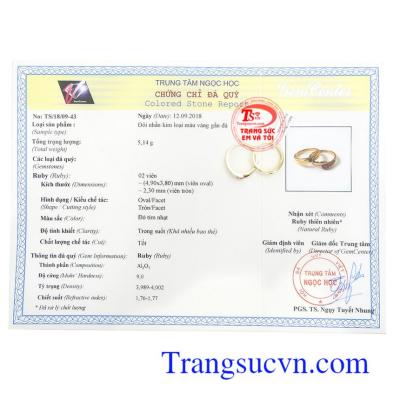 Giấy kiểm định