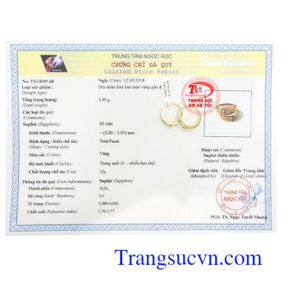 Giấy kiểm định