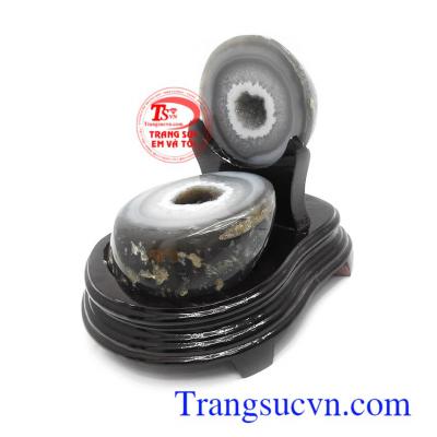 Tụ bát bão mã não thiên nhiên