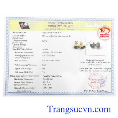 Giấy kiểm định