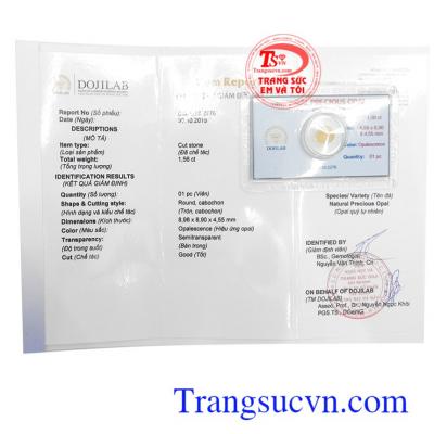 Giấy kiểm định