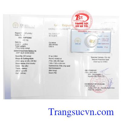 Giấy kiểm định