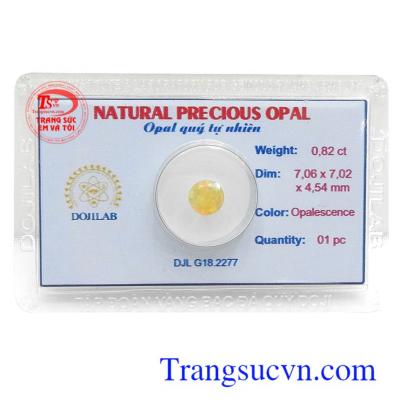 Opal quý ép vỉ an lành bền đẹp, chất lượng