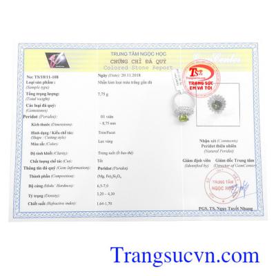 Giấy kiểm định