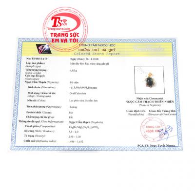 Giấy kiểm định từ trung tâm ngọc học. Mặt dây chuyền nephrite đẹp