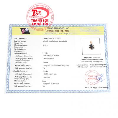 Giấy kiểm định từ trung tâm ngọc học. Mặt dây granat đẹp