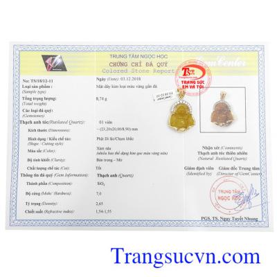 Giấy kiểm định