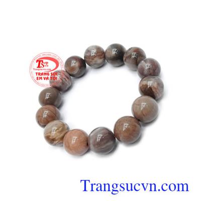 nguồn năng lượng dương mạnh mẽ của gỗ hóa thạch có thể áp chế, tiêu diệt cũng như loại bỏ năng lượng xấu