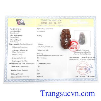 Giấy kiểm định