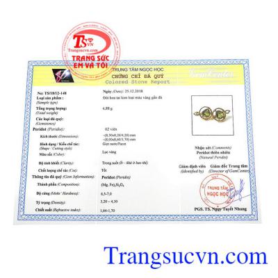 Giấy kiểm định từ trung tâm ngọc học