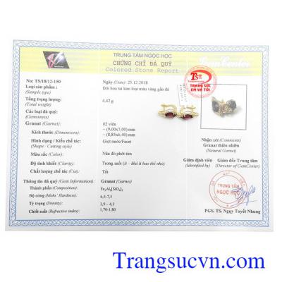 Giấy kiểm định