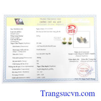 Giấy kiểm định