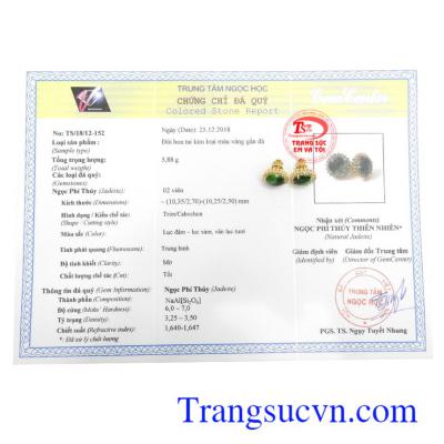 Giấy kiểm định