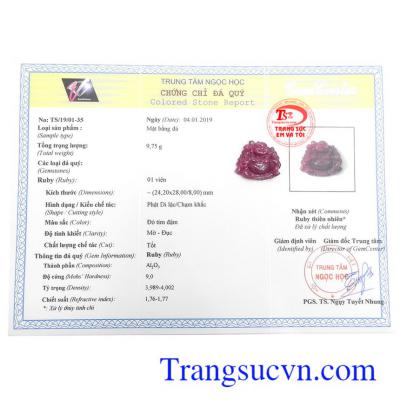 Giấy kiểm định