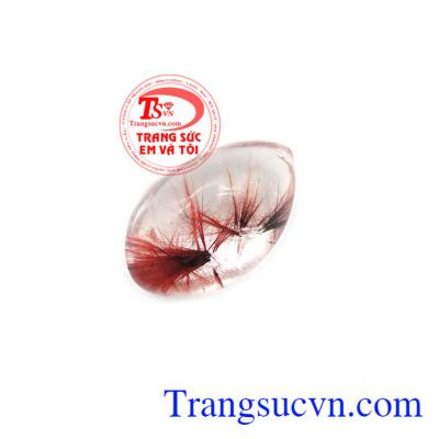 mang lại niềm vui cho gia chủ.