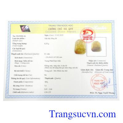 Giấy kiểm định