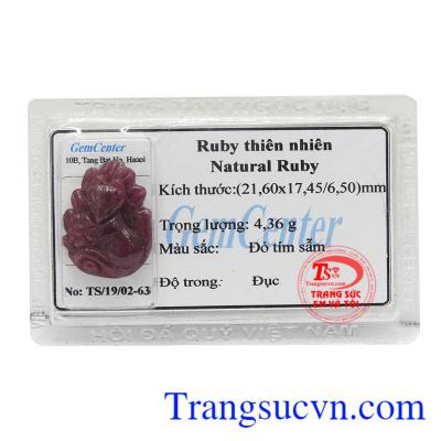 Hồ ly Ruby ép vỉ đẹp