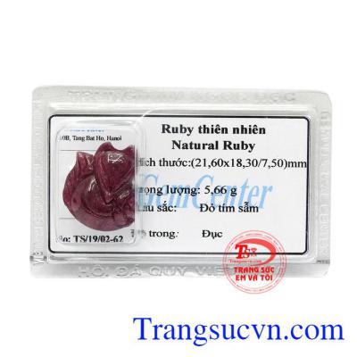 Hồ ly Ruby ép vỉ tình duyên