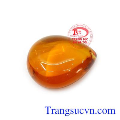 Loại đá này là tàng tích xuất hiện xung quanh những loài cây bị hóa thạch