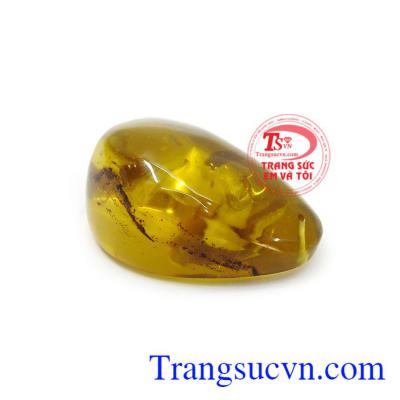 Đá amber hay còn được gọi là hổ phách, dòng đá hình thành từ nhựa cây hàng triệu năm