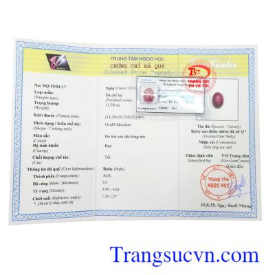 Giấy kiểm định