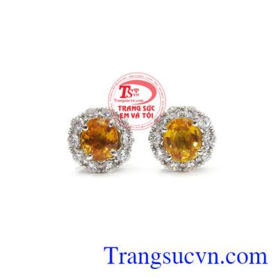 Hoa tai Sapphire chất lượng