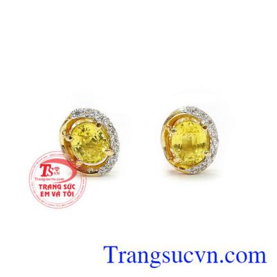 Hoa tai sapphire độc đáo