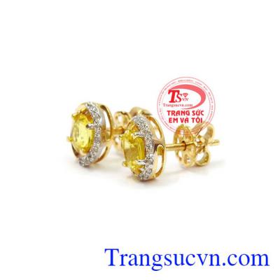 Hoa tai sapphire độc đáo được kiểm định chất lượng đảm bảo uy tín và nguồn gốc