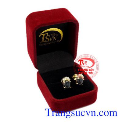 Hoa tai nữ Sapphire