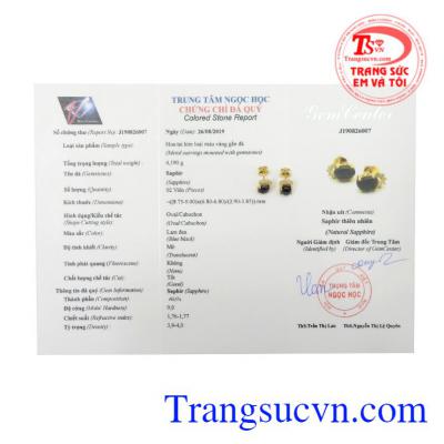 Hoa tai nữ Sapphire