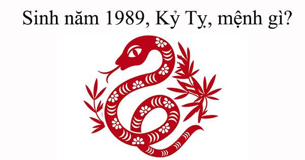 Sinh 1989, Kỷ Tỵ, mệnh gì?