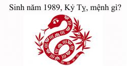 Sinh 1989, Kỷ Tỵ, mệnh gì?