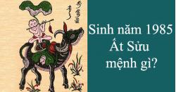 Sinh 1985, Ất Sửu, mệnh gì?