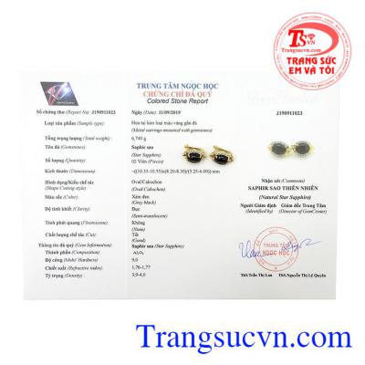Hoa tai saphir sao quý tộc bảo hành uy tín, giao hàng toàn quốc.