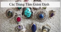 Các Trung Tâm Giám Định - Hà Nội - Việt Nam