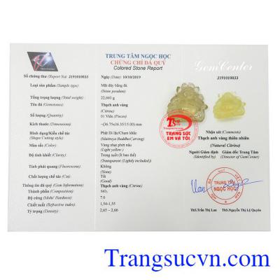 Giấy kiểm định