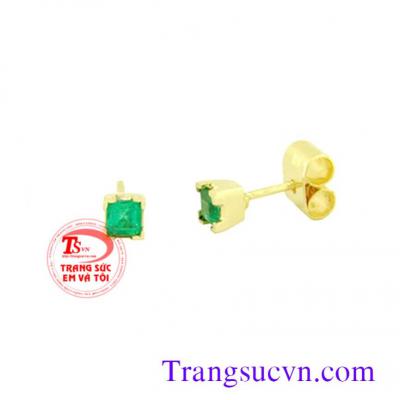 Hoa tai đá quý Emerald