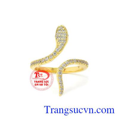 Rắn là biểu tượng cho nước, lửa, linh hồn, quyết đoán, đa nghi.