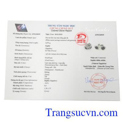 Giấy kiểm định