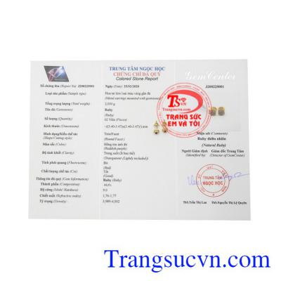 Hoa tai đá Ruby nhỏ xinh