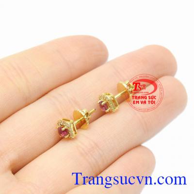 Hoa tai đá Ruby nhỏ xinh thiên nhiên xinh xắn.