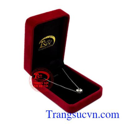 Dây liền vàng trắng cỏ bốn lá