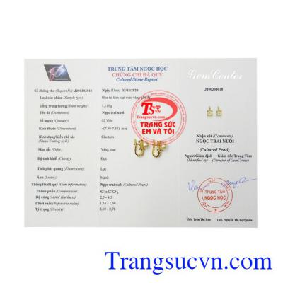 Hoa tai ngọc trai thanh thoát