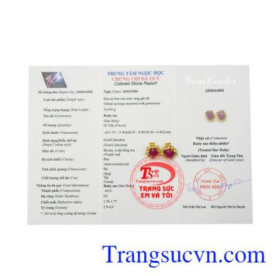 Hoa tai Ruby sao tinh tế