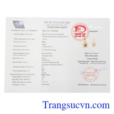 Giấy kiểm định