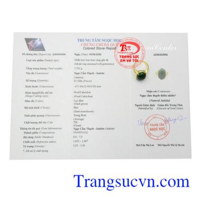 Giấy kiểm định